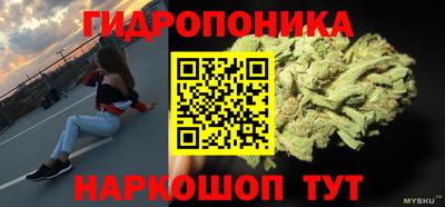 не бодяженный Заводоуковск