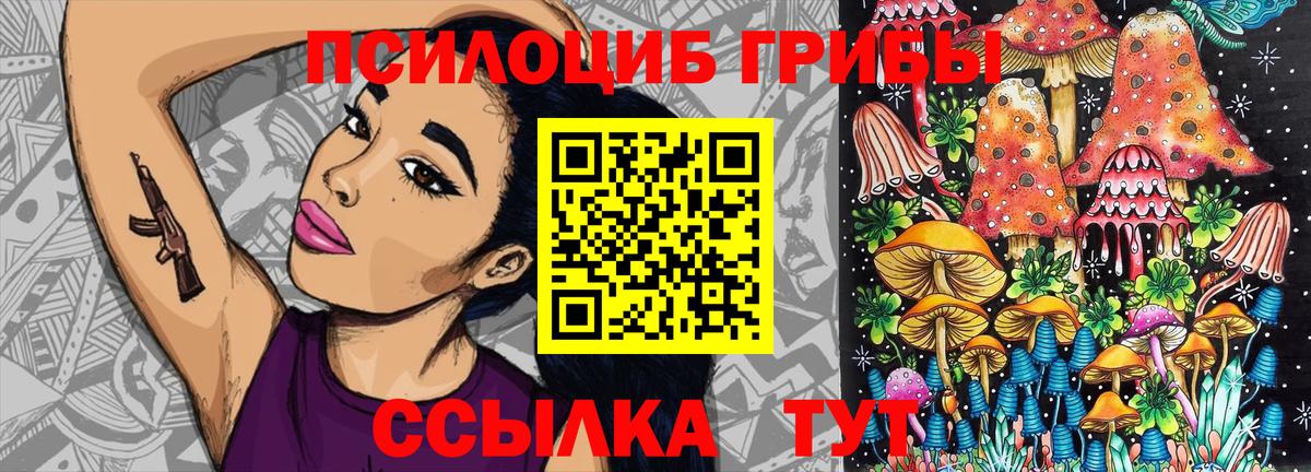 Псилоцибиновые грибы Psilocybine cubensis Минеральные Воды